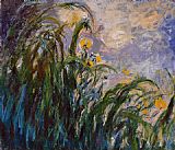 Les Nereides Paintings - Les iris jaunes 1824 by Claude Monet